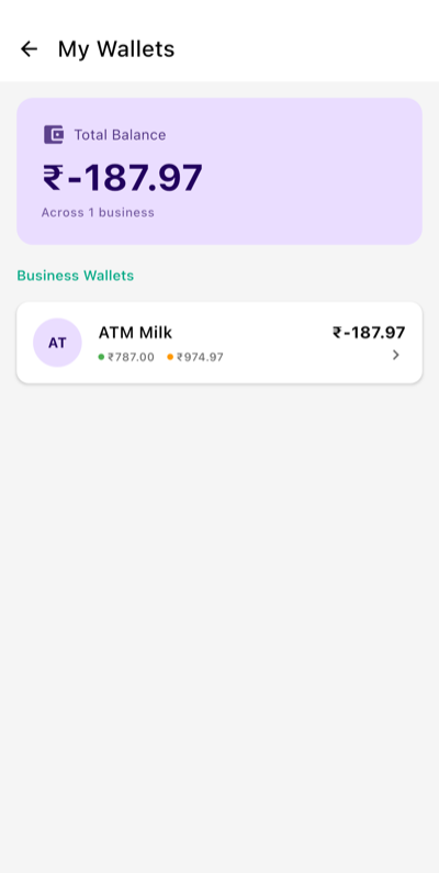 BNM Digital Wallet